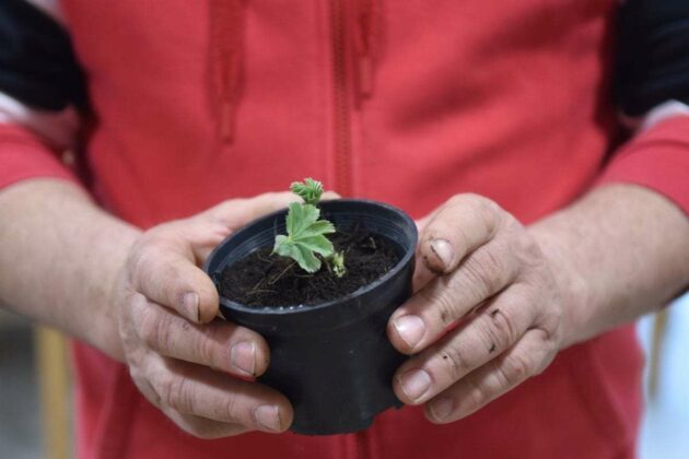 FOTO: Delavnica Vzgojimo si svojo sadiko zelišča