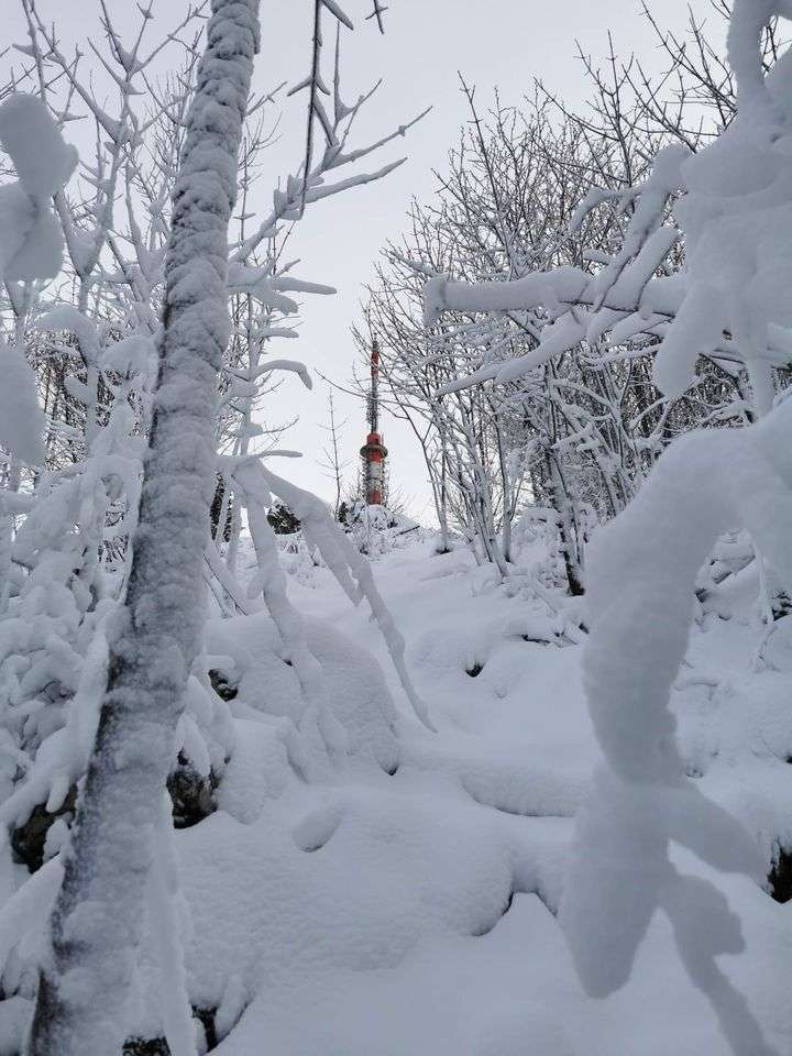 FOTO: Na Gorjance po zimo oz. na sneg