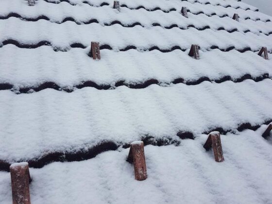 FOTO: S snežinkami v razjasnitev in mraz