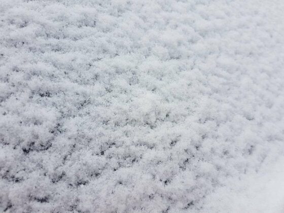 FOTO: S snežinkami v razjasnitev in mraz