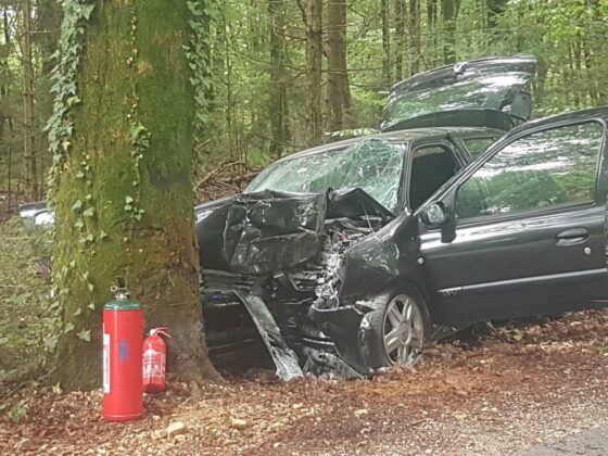 V&F: Z avtom v drevo, voznik je umrl
