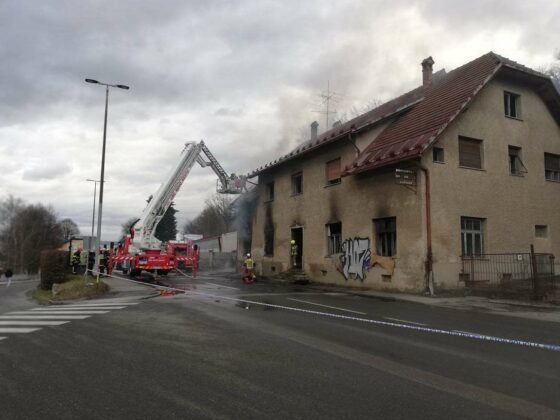 V&F: Zagorelo v Osolnikovi hiši v Bršljinu