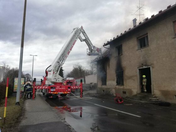 V&F: Zagorelo v Osolnikovi hiši v Bršljinu